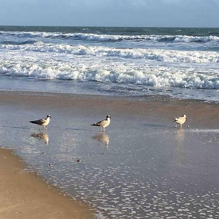 شقة Bournemouth Cosy Retreat المظهر الخارجي الصورة